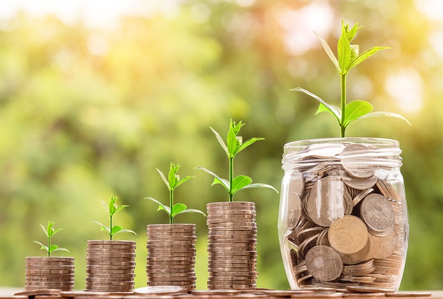 Gläser, denen Pflanzen aus Geld wachsen