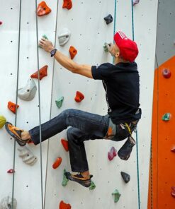Mensch beim Klettern im Toprope in einer Kletterhalle